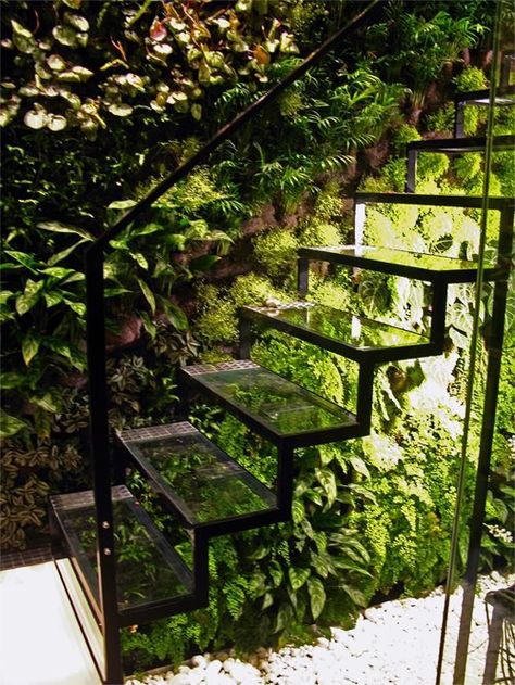 Jungle stairs